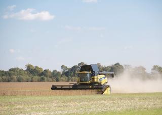 Kombájn eszközök Vágógerendák New Holland 740CF 25FT SD