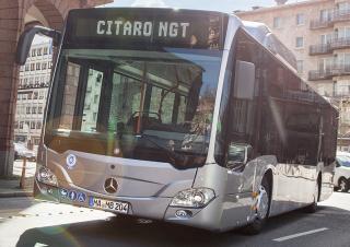 Buszok és kisbuszok Városi buszok Mercedes-Benz Citaro G NGT