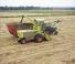 Claas JAGUAR 70 SF
