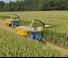 4WD silózók New Holland FR 480 