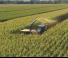 4WD silózók New Holland FR 780