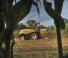 4WD silózók New Holland FR 780