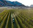 4WD traktorok DEUTZ-FAHR 5105 DS TTV