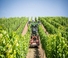 4WD traktorok John Deere 5115GV