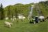 4WD traktorok DEUTZ-FAHR Agroplus F 320 DT