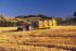 4WD traktorok McCormick C 80 L