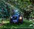 4WD traktorok BCS Eagle 85 SDT
