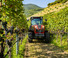 4WD traktorok Valtra F75S