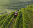 4WD traktorok Valtra F95S