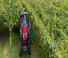 4WD traktorok Valtra F95S