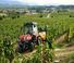 4WD traktorok SAME Frutteto CVT V 90.4 