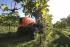 4WD traktorok SAME Frutteto³ S 80 GS DT