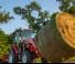 4WD traktorok Massey Ferguson MF 1735 M HP 