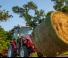 4WD traktorok Massey Ferguson MF 1755 M MC 