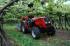 Massey Ferguson MF 3435-4 F