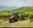 4WD traktorok Massey Ferguson MF 3VI.85 