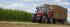 4WD traktorok Massey Ferguson MF 6613 Dyna 6