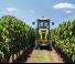 4WD traktorok Claas Nexos 210 F
