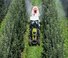 4WD traktorok Claas Nexos 230 VL