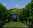4WD traktorok Landini Rex 3-070F