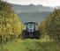 4WD traktorok New Holland T 4.105 LP