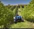 4WD traktorok New Holland T 4.95 LP