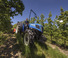 4WD traktorok New Holland T 4.95 LP