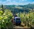 4WD traktorok BCS Valiant 60 AR Micro 