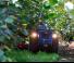 4WD traktorok BCS Vithar 85 AR 