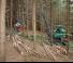 Erdészeti gépek Betakartógépek Neuson Forest 104HVT