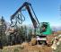 Erdészeti gépek Betakartógépek Neuson Forest 243HV
