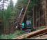 Erdészeti gépek Betakartógépek Neuson Forest 243HVT