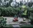 Vibrolapok Egyirányú vibrolapok Husqvarna LF 50 L