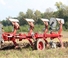 Ekék Unia Ibis LS plus 3+1 