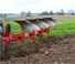 Ekék Unia Ibis LS plus 3+1 