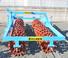 Bremer D 70/17