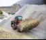Gumikerekes homlokrakodók Hitachi ZW 330-5