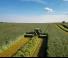 Hátra szerelhető kaszák - tárcsa és cond. Claas Disco 9700 RC Auto Swather 