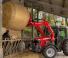 Massey Ferguson FL 3419X