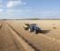 Kockabálázók New Holland BB 1290 R