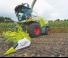 Kombájn eszközök Kombájn kukoricaasztalok Claas Orbis 600 SD 