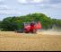 Kombájnok Massey Ferguson Activa 7342
