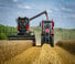 Kombájnok Massey Ferguson Activa 7344
