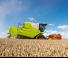 Kombájnok Claas Avero 240