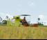 Kombájnok Claas Crop Tiger 30 Terra Trac