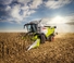 Kombájnok Claas Trion 660   