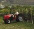 Massey Ferguson MF 3425