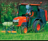 Járművek Kompakt kommunális traktorok Kubota ST341-C