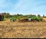 Kultivátorok Amazone Cenius 4003-2TX Super