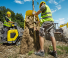 Lánctalpas dömperek Wacker Neuson DT10